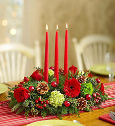 Luxury Christmas Centerpiece Flower Power, Florist Davenport FL